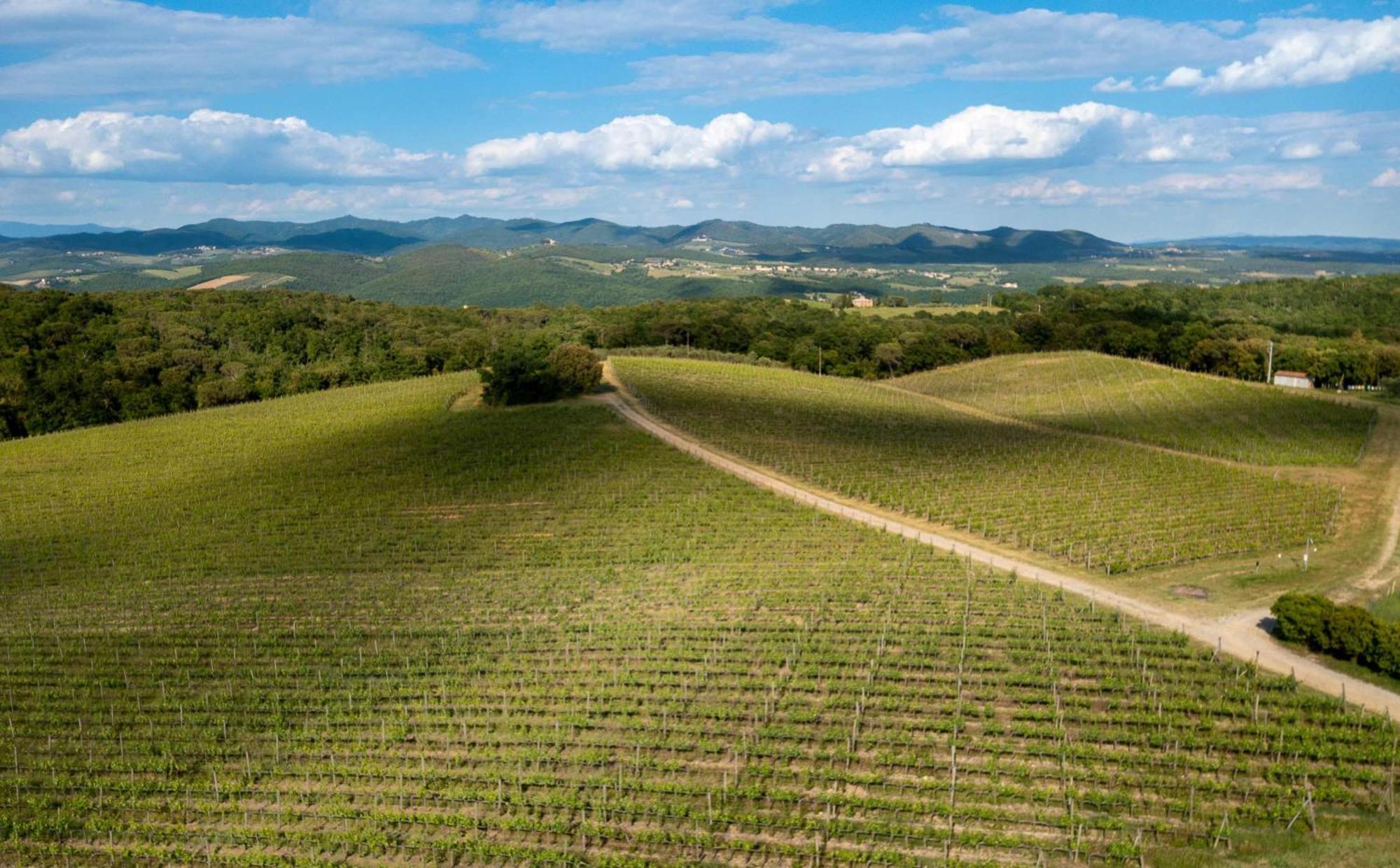 Hotel Borgo Scopeto Wine&Country Relais Vagliagli Esterno foto